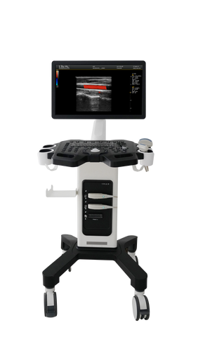 Color Doppler Ultrasound