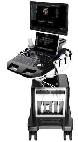 Color Doppler Ultrasound - Second View