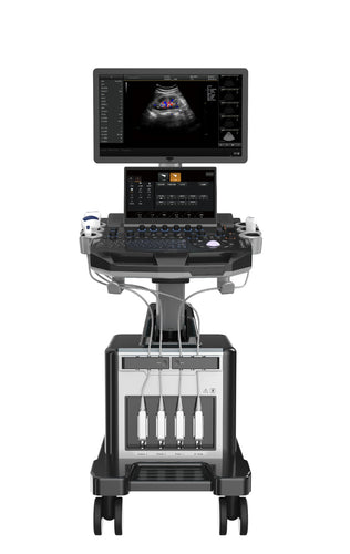 Color Doppler Ultrasound